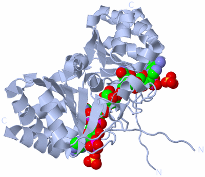 Image Biological Unit 5