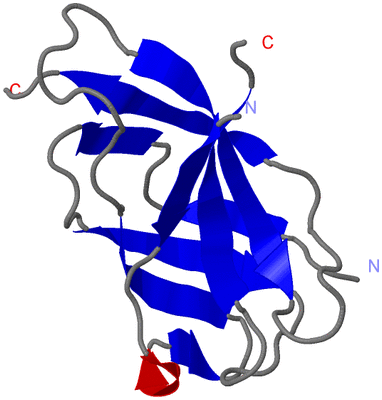 Image Asymmetric Unit