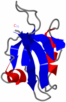 Image NMR Structure - model 1