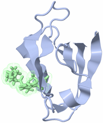 Image NMR Structure - model 1
