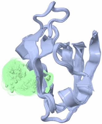 Image NMR Structure - all models
