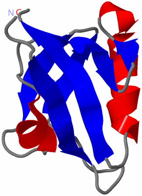 Image NMR Structure - model 1