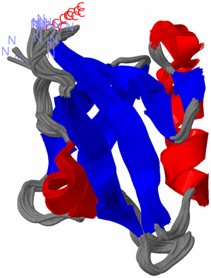 Image NMR Structure - all models