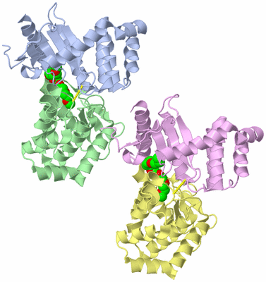 Image Asym./Biol. Unit