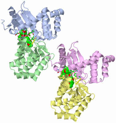 Image Asym./Biol. Unit - sites