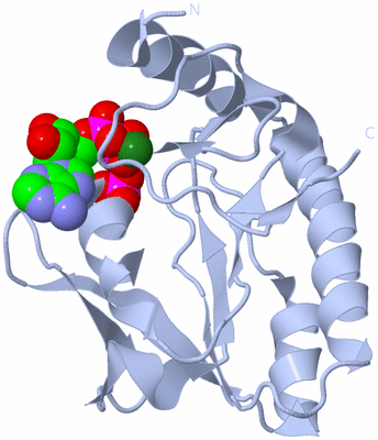 Image Biological Unit 1