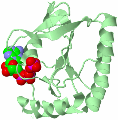 Image Biological Unit 2