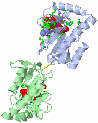Image Asym. Unit - sites