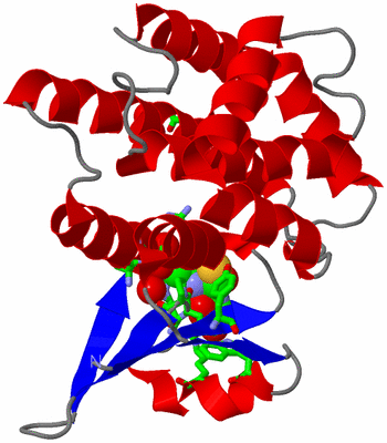 Image Asym. Unit - sites