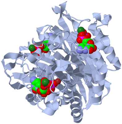 Image Biological Unit 1