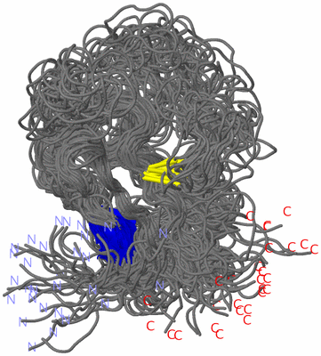 Image NMR Structure - all models