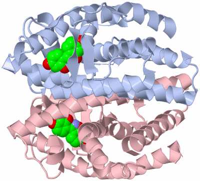 Image Biological Unit 1