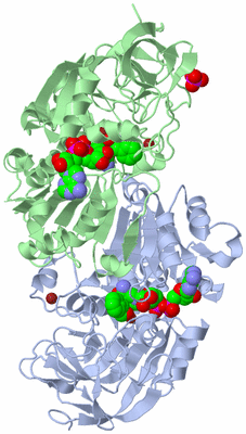 Image Asym./Biol. Unit