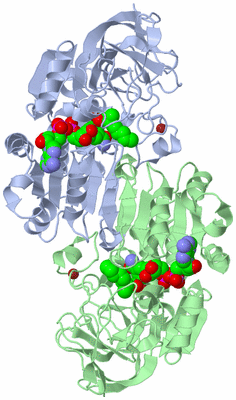 Image Asym./Biol. Unit