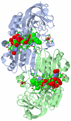 Image Asym./Biol. Unit - sites