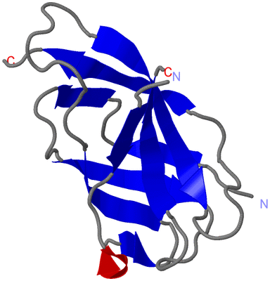 Image Asymmetric Unit