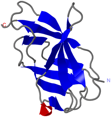 Image Asymmetric Unit