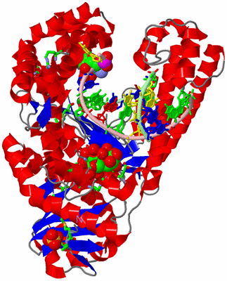 Image Asym./Biol. Unit - sites