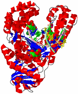 Image Asym./Biol. Unit