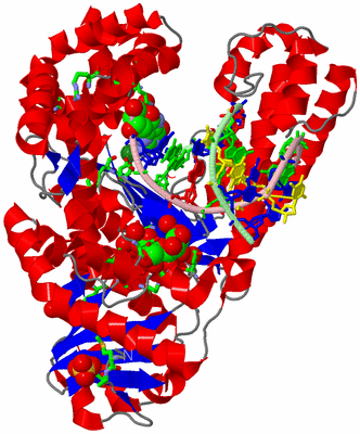 Image Asym./Biol. Unit - sites