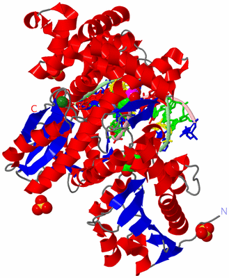 Image Asym./Biol. Unit