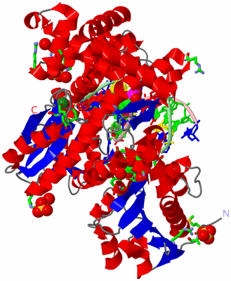 Image Asym./Biol. Unit - sites