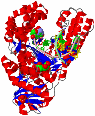 Image Asym./Biol. Unit