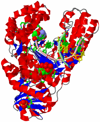 Image Asym./Biol. Unit - sites