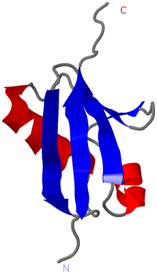 Image NMR Structure - model 1