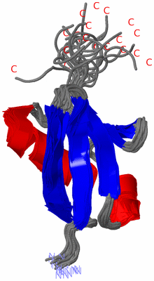 Image NMR Structure - all models