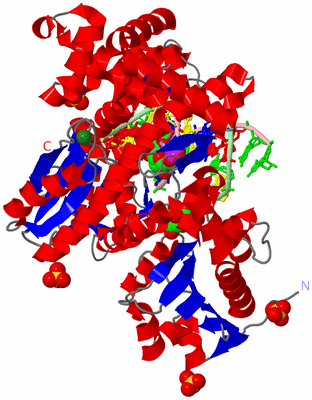 Image Asym./Biol. Unit