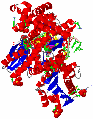 Image Asym./Biol. Unit - sites