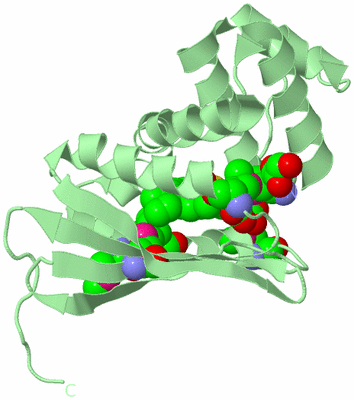 Image Biological Unit 2