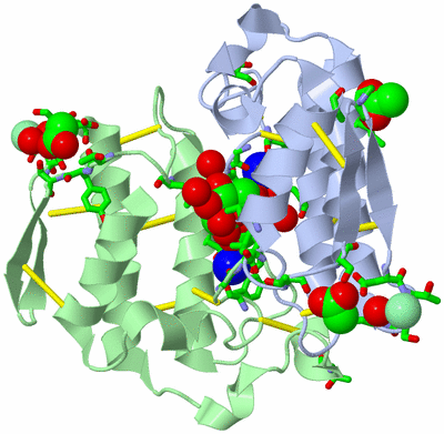 Image Biol. Unit 1 - sites