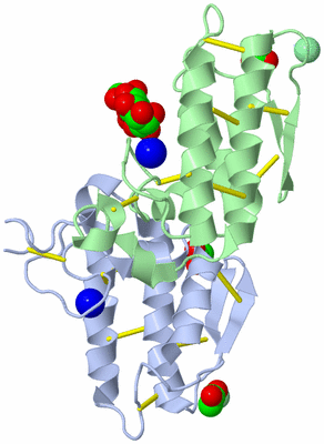 Image Biological Unit 2