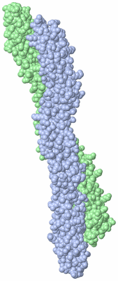 Image Asymmetric Unit