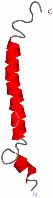 Image NMR Structure - model 1