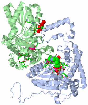 Image Asym. Unit - sites