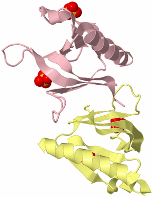 Image Biological Unit 8