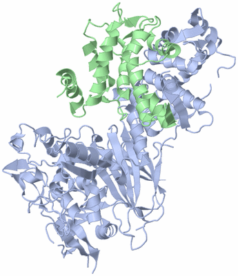 Image Asym./Biol. Unit