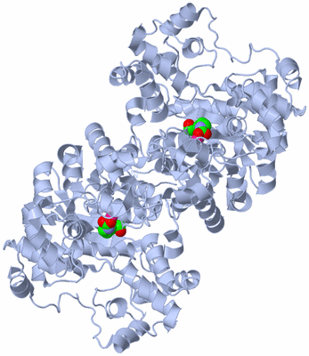 Image Biological Unit 1