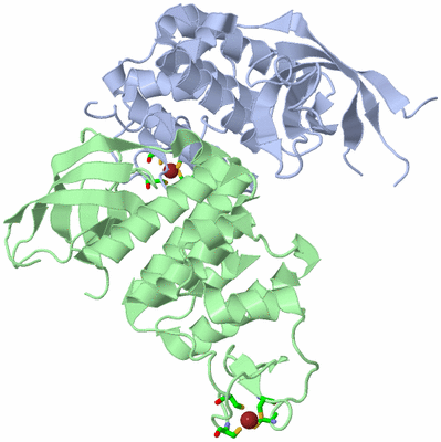 Image Asym./Biol. Unit - sites