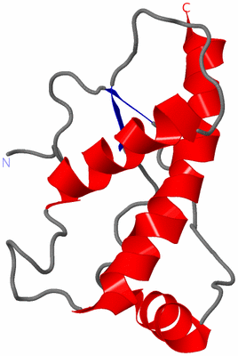 Image NMR Structure - model 1