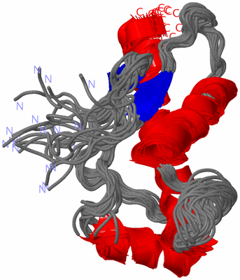 Image NMR Structure - all models