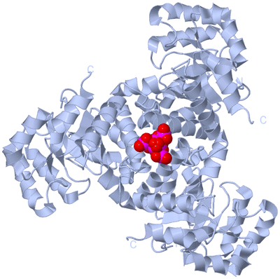 Image Biological Unit 1