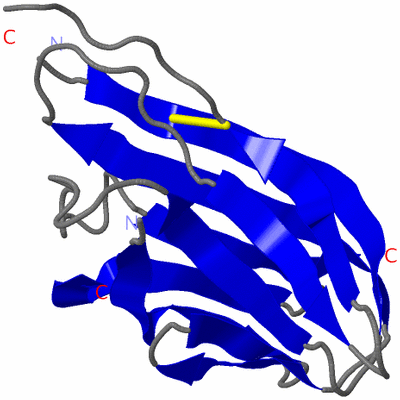 Image Asymmetric Unit