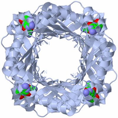 Image Biological Unit 1