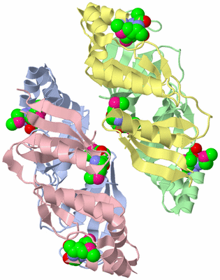 Image Biological Unit 1