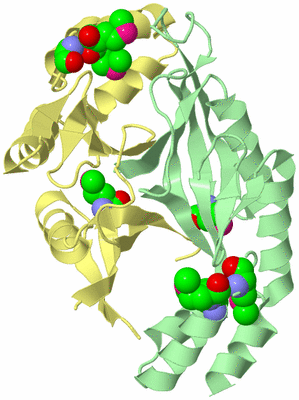 Image Biological Unit 2