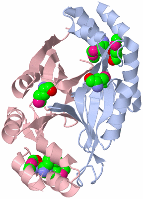 Image Biological Unit 3